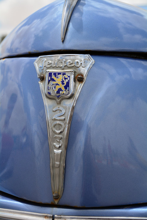 DSC_1922.jpg