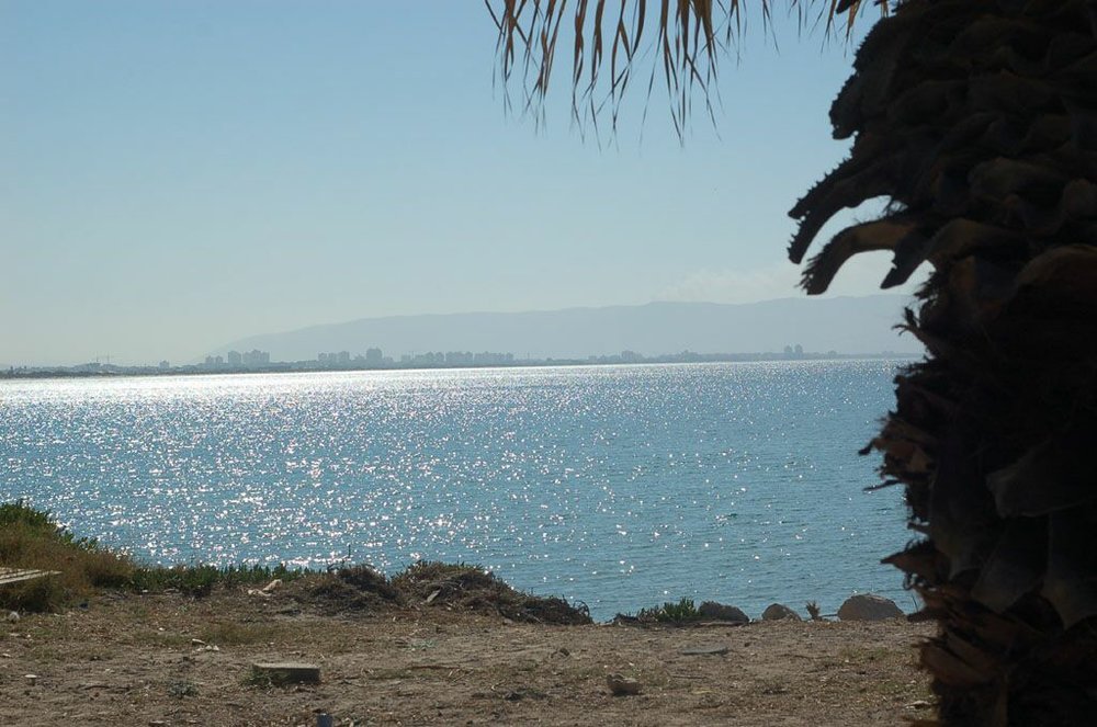 DSC_2273.JPG