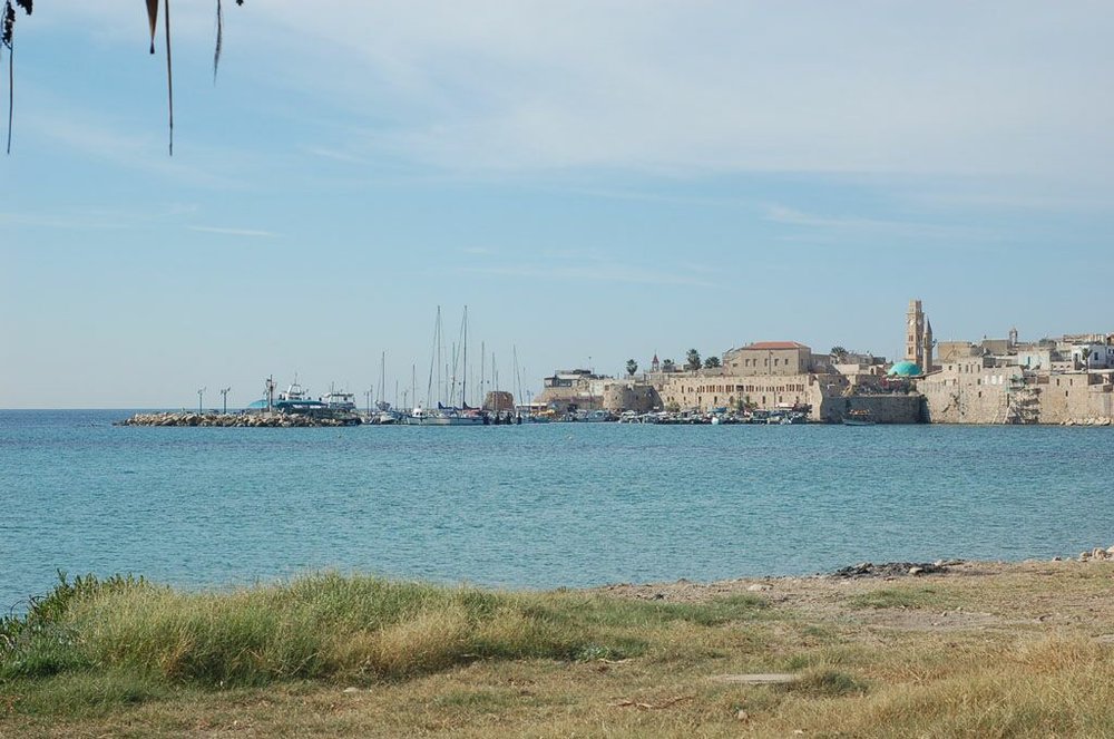 DSC_2274.JPG