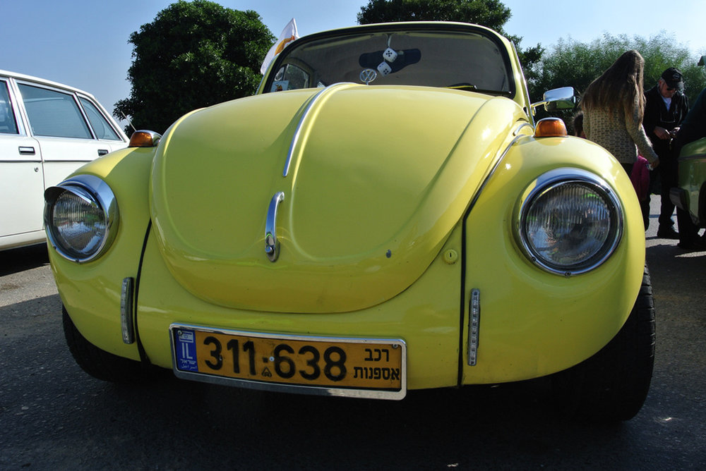 DSC_4694.jpg