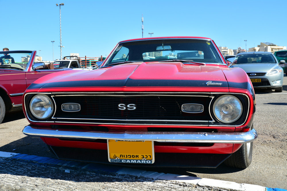 DSC_4848.jpg