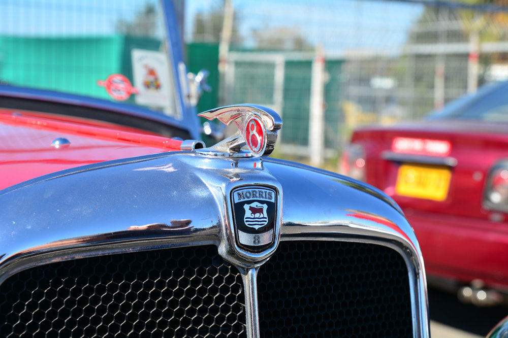 DSC_4894.JPG