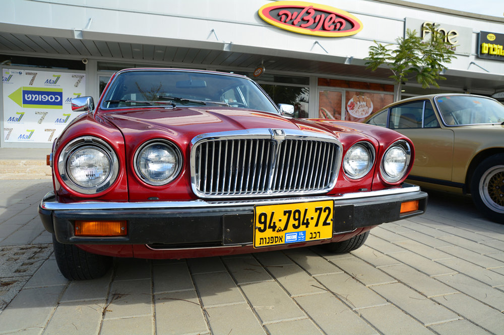 DSC_5798.jpg
