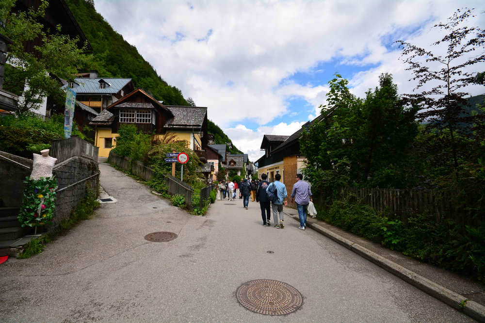 DSC_6061.jpg