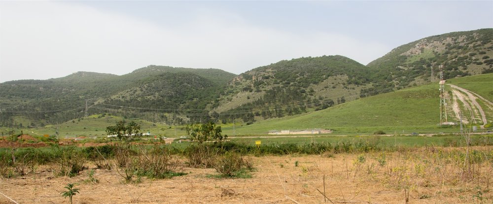 DSC_6766.jpg