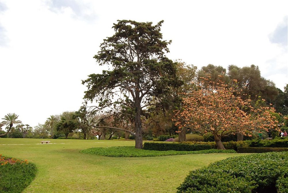 DSC_8183.jpg