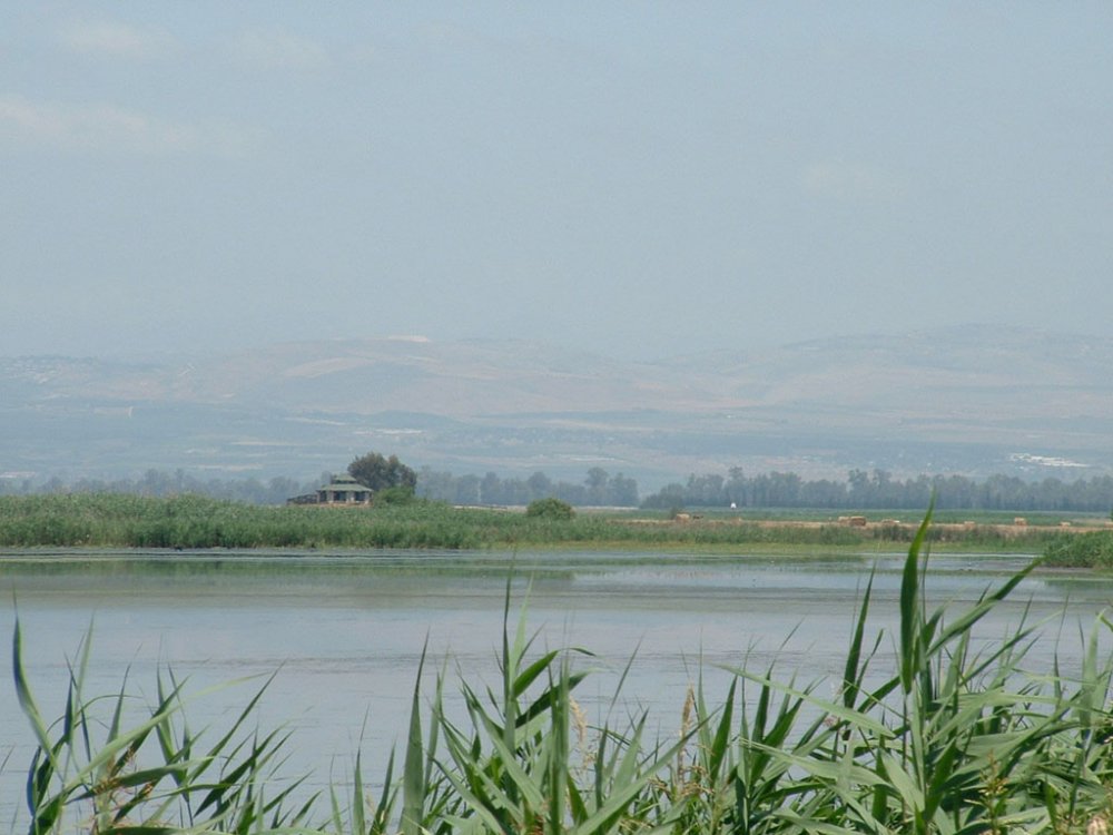F0046.jpg