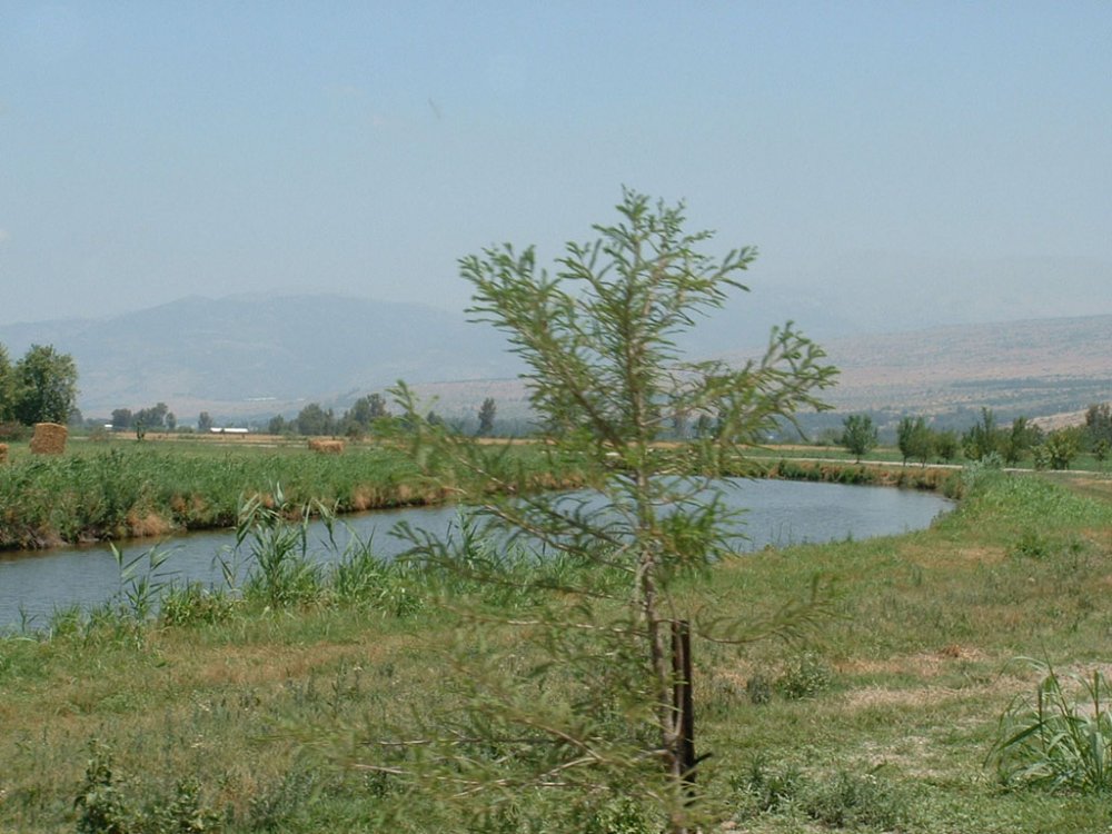 F0052.jpg