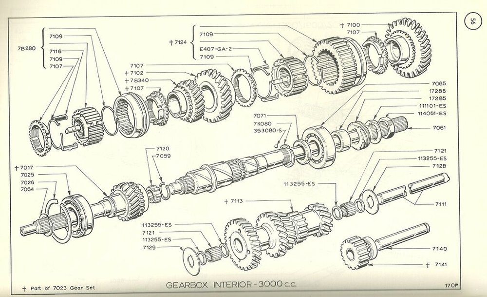 Gear.jpg