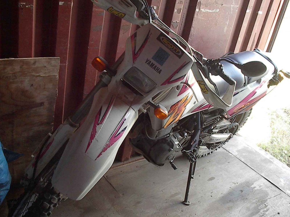 IM002181-web.jpg