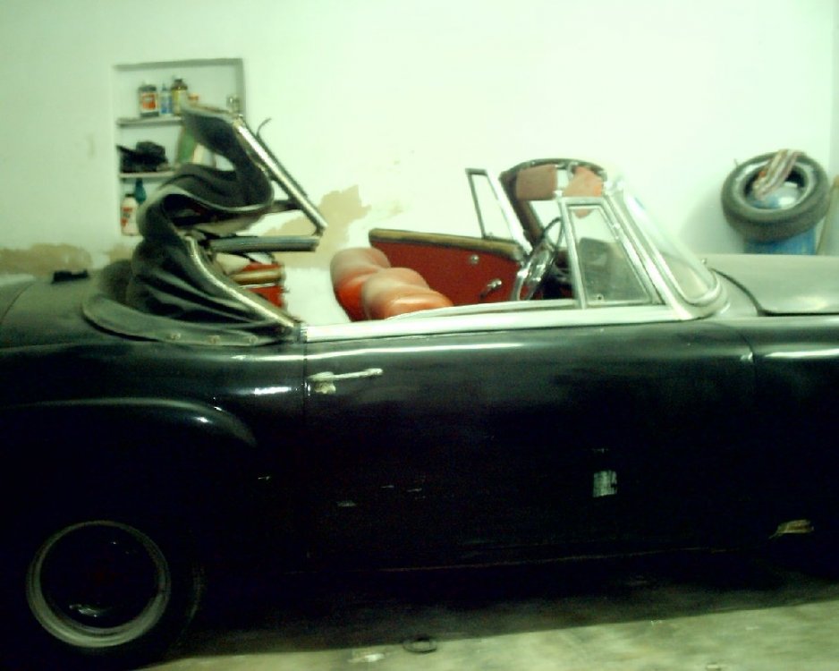 IMAG0010.JPG