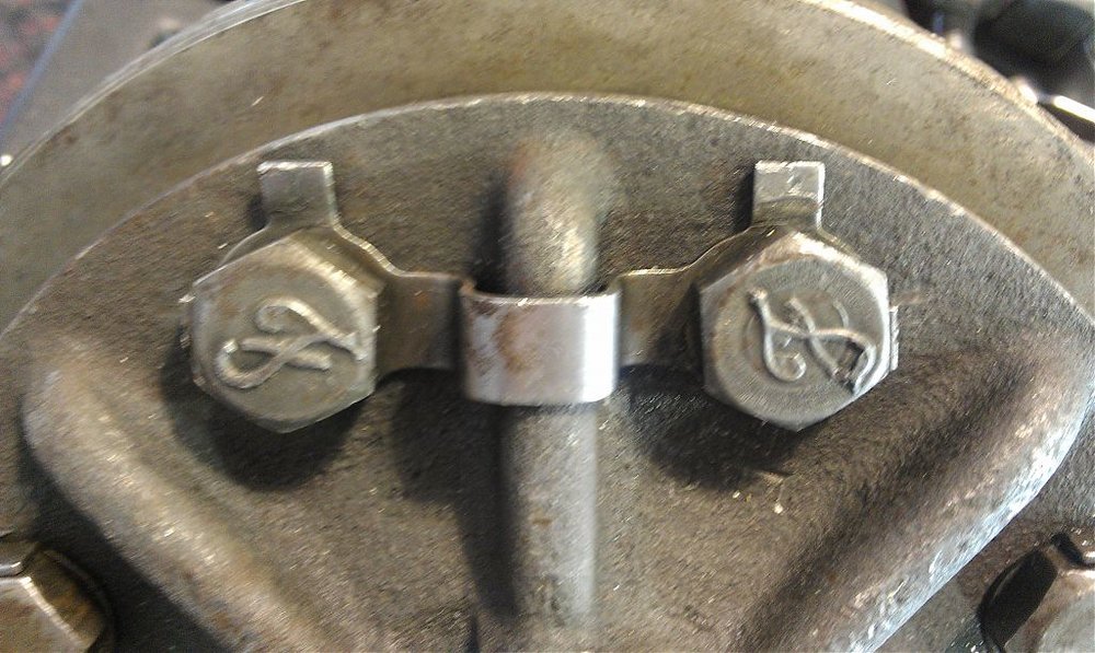 IMAG0022.jpg