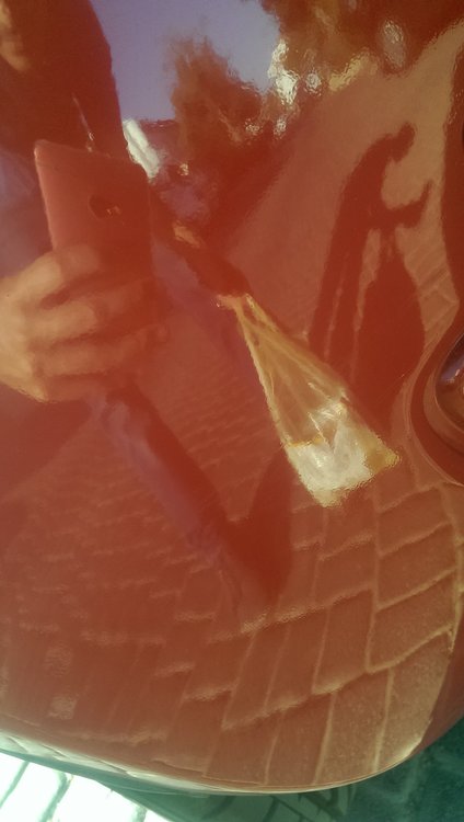 IMAG0044.jpg