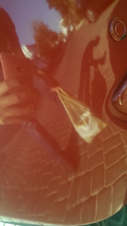 IMAG0045.jpg