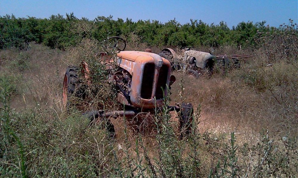 IMAG0066.jpg