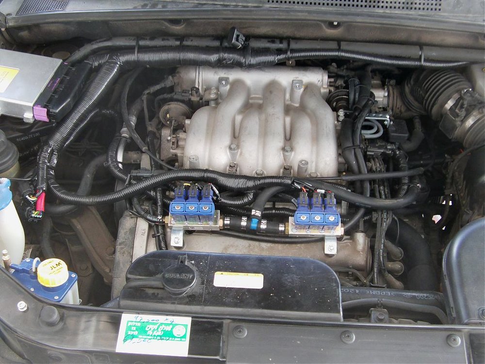 IMAG0078.jpg