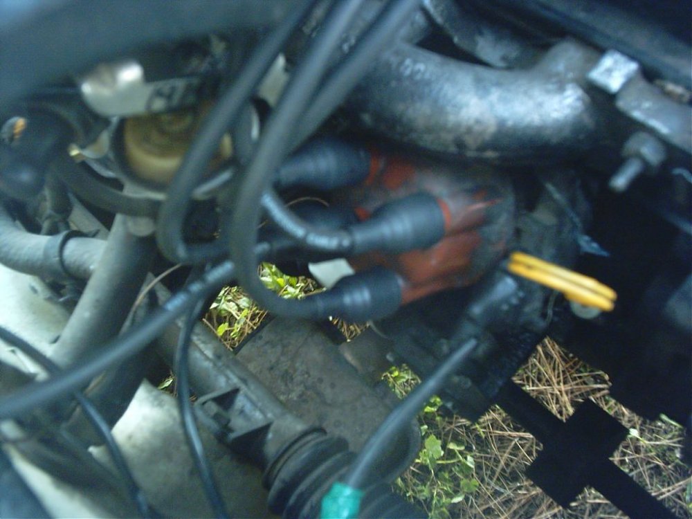 IMAG0083.jpg