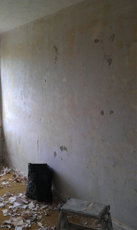 IMAG0125.jpg