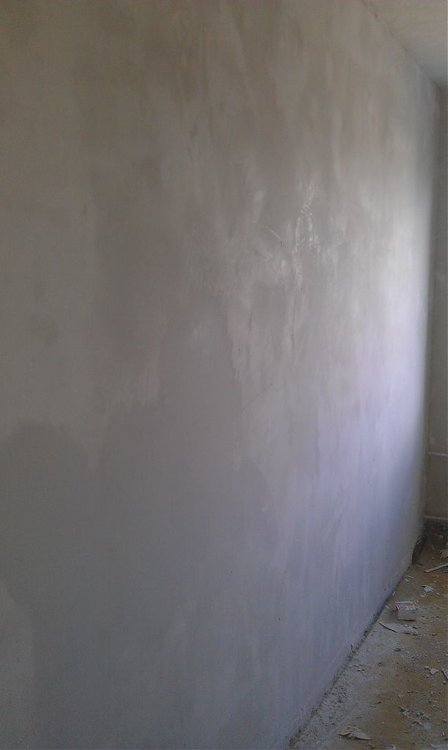 IMAG0164.jpg