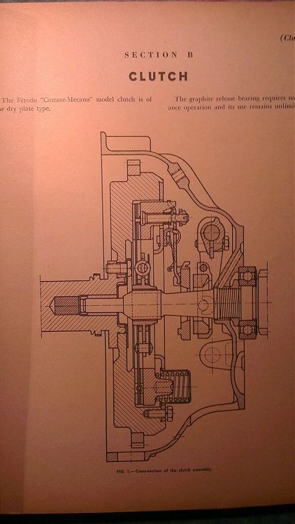 IMAG0208.jpg