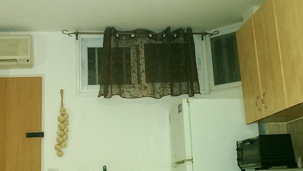 IMAG0229.jpg