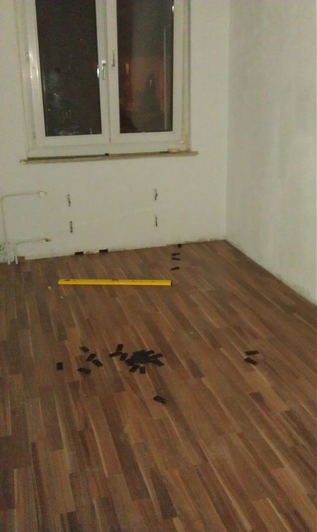 IMAG0277.jpg