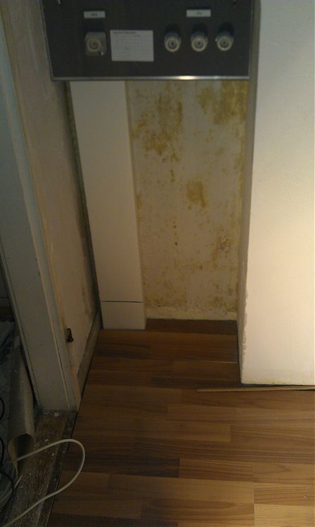 IMAG0280.jpg