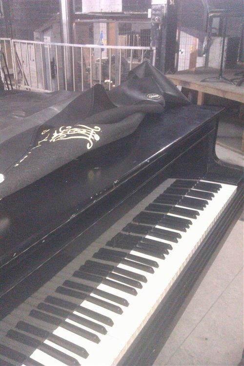 IMAG0304.jpg