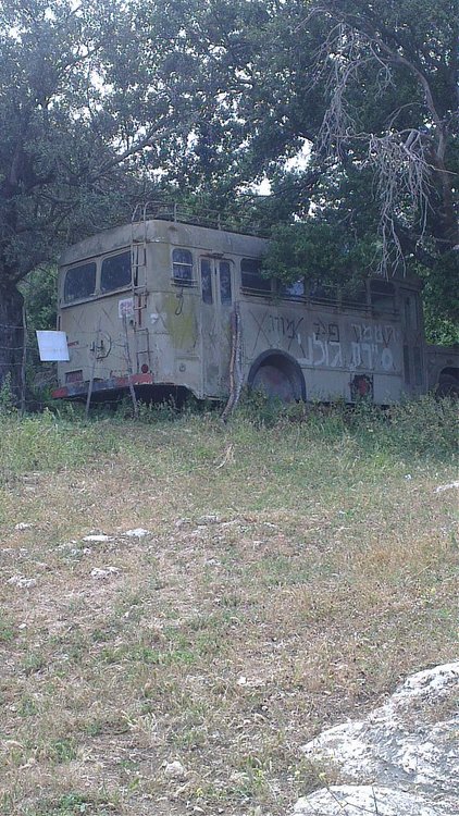 IMAG0326.jpg