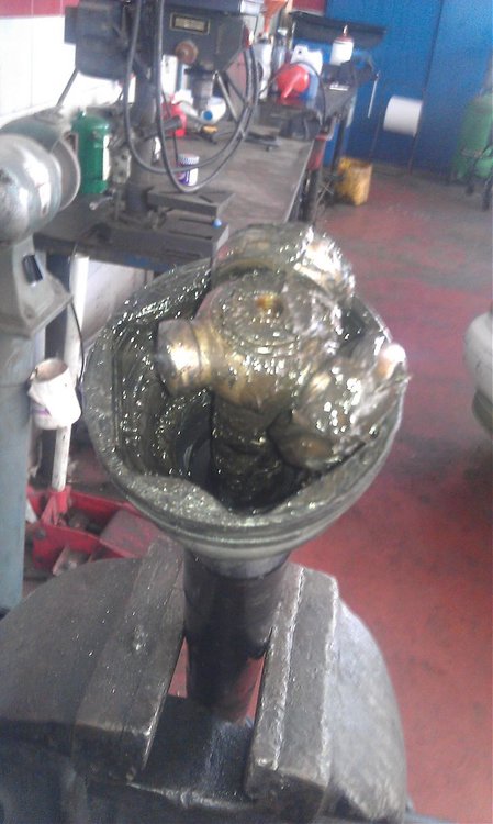 IMAG0334.jpg