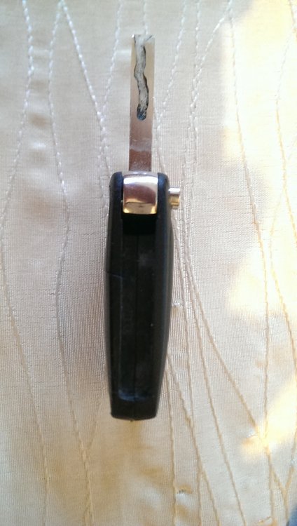 IMAG0378.jpg