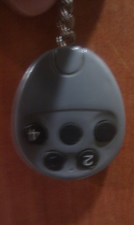 IMAG0597.jpg
