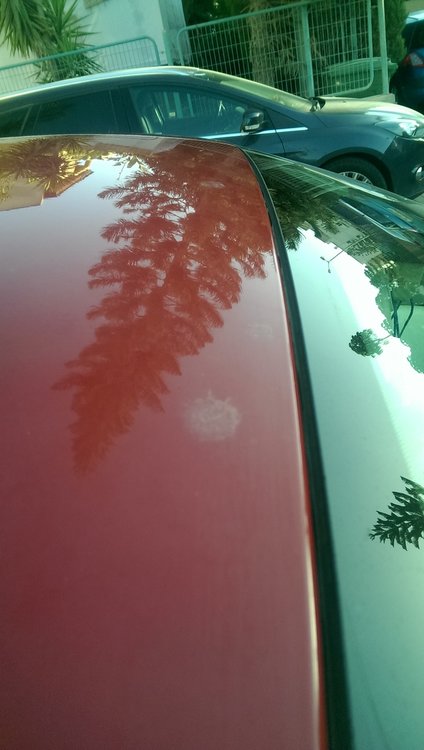 IMAG0639.jpg