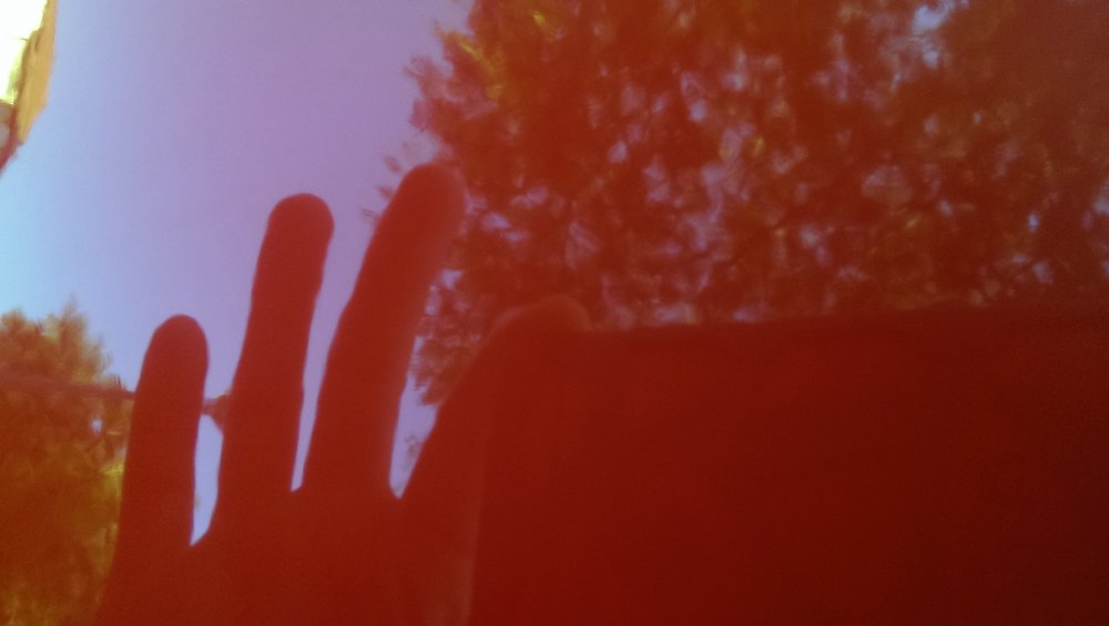 IMAG0711.jpg