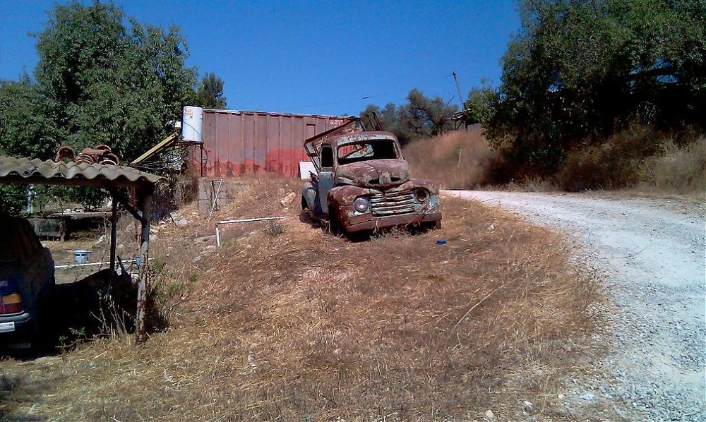 IMAG0716.jpg