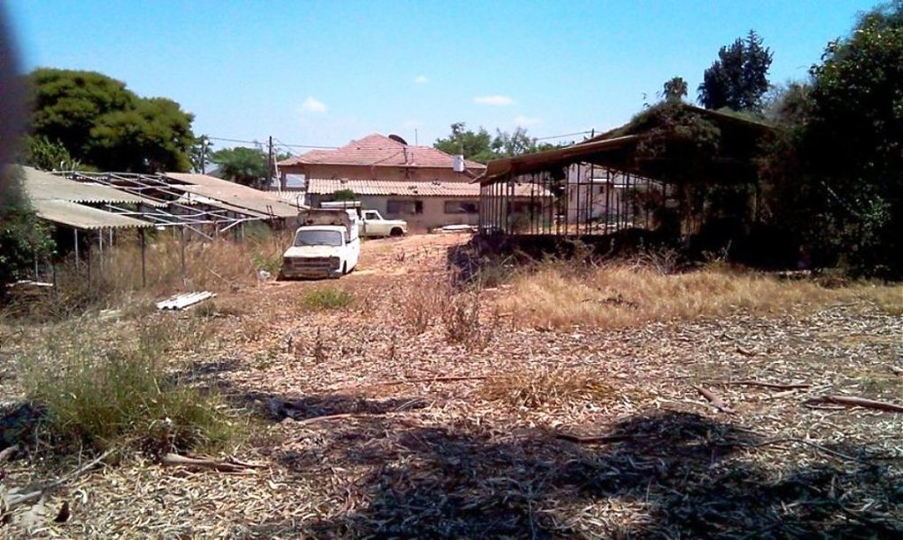 IMAG0757.jpg