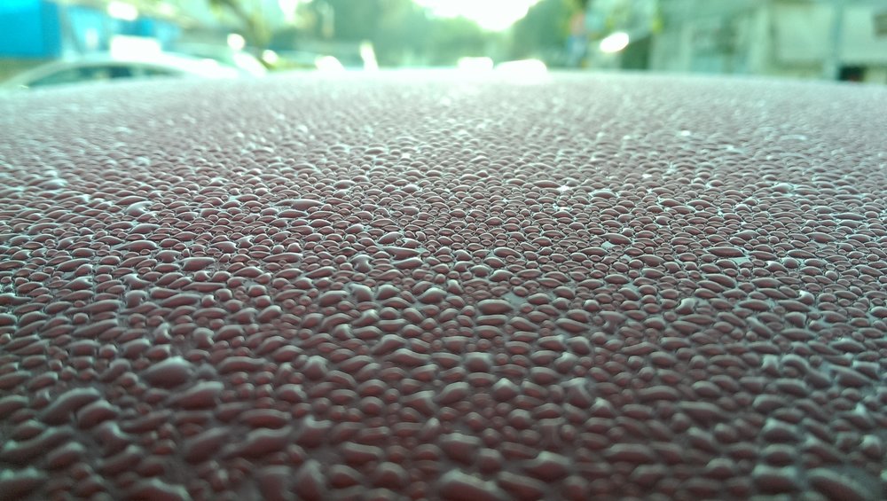 IMAG0859.jpg