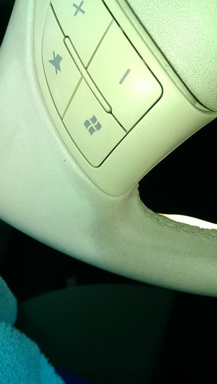 IMAG0870.jpg