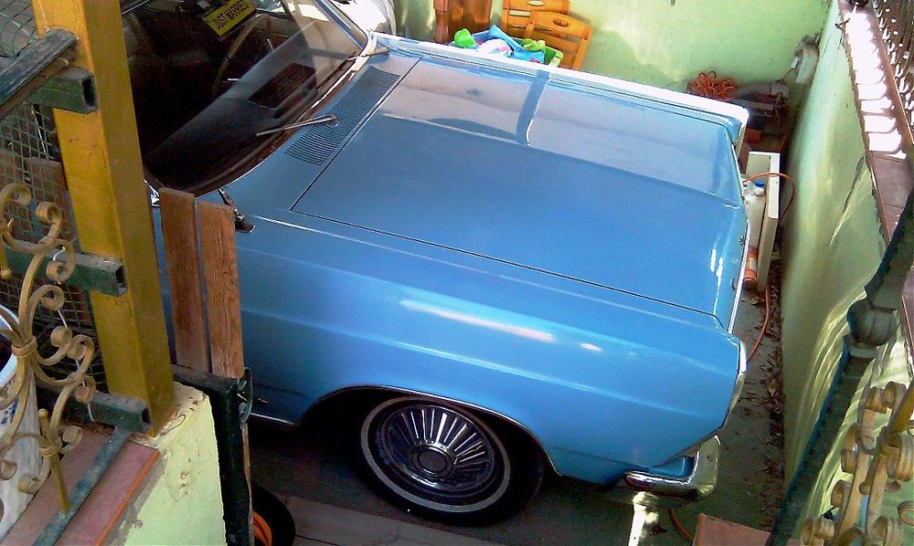 IMAG0894.jpg