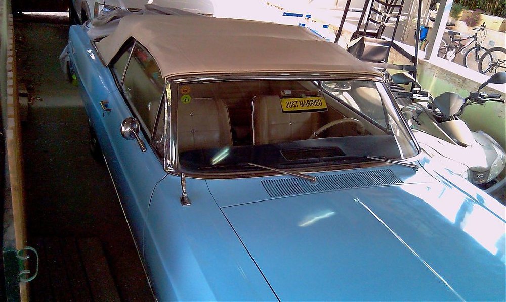 IMAG0895.jpg