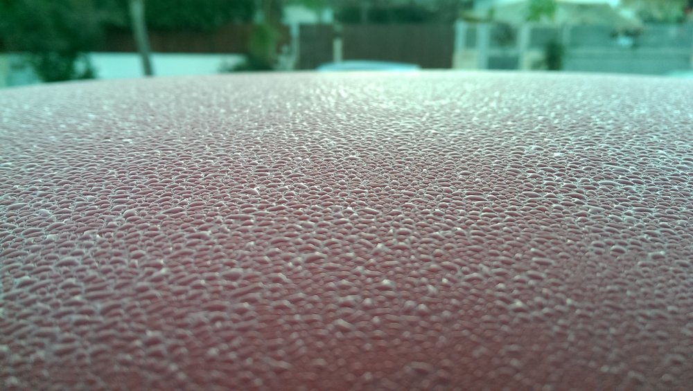 IMAG0958.jpg