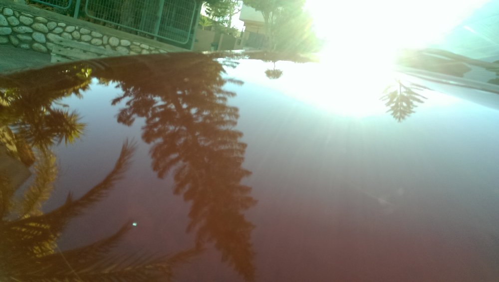 IMAG0989.jpg