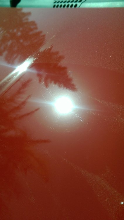 IMAG1131.jpg