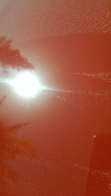 IMAG1132.jpg