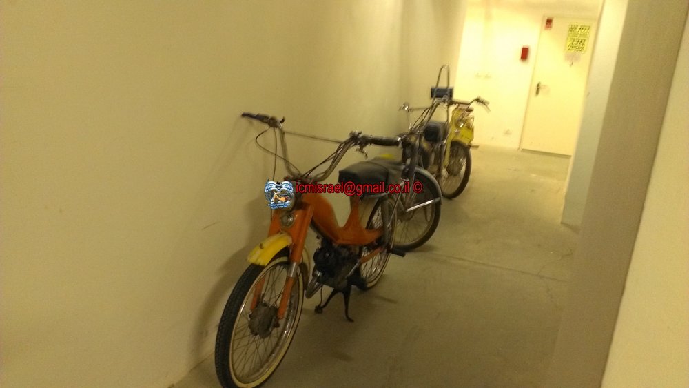 IMAG1183.jpg