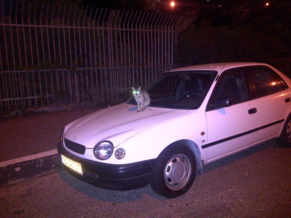 IMG-20111030-00088.jpg