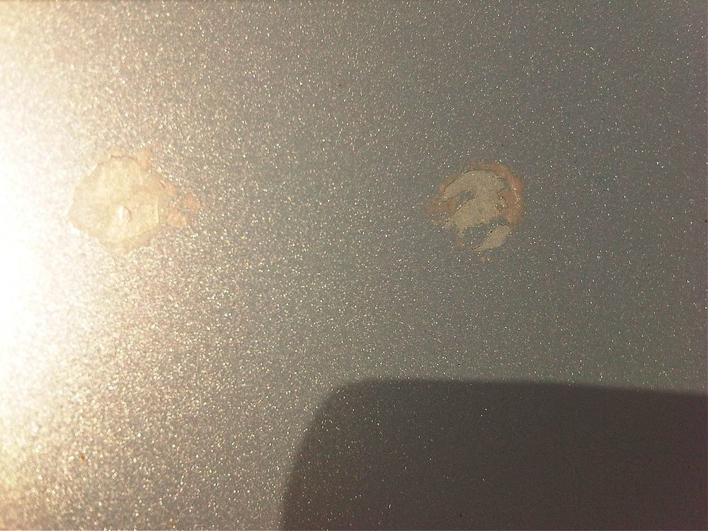IMG-20130116-00004.jpg