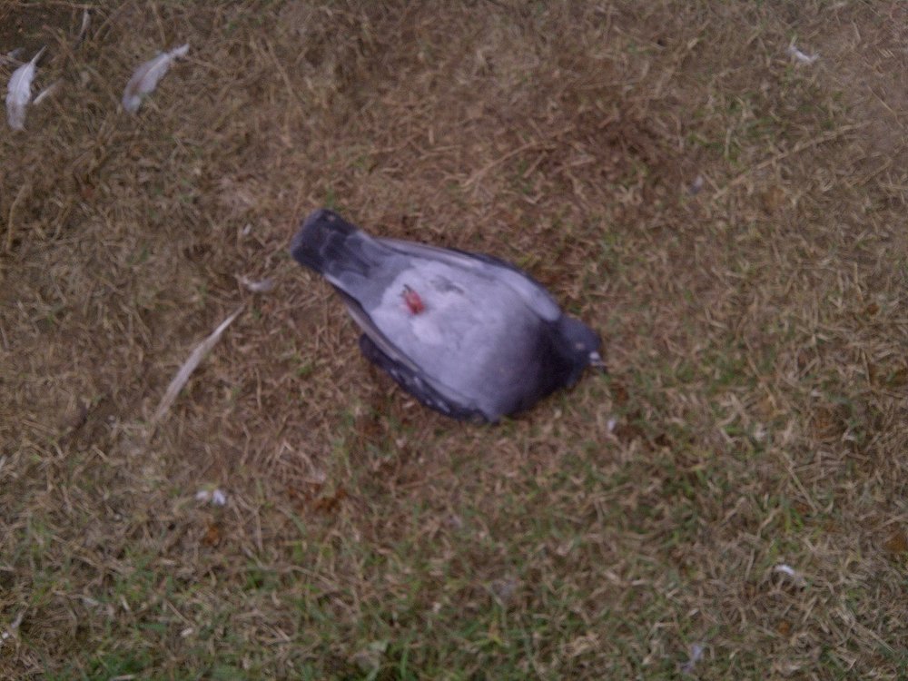 IMG-20130223-00720.jpg