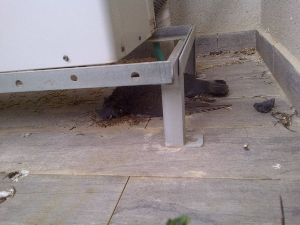 IMG-20130223-00722.jpg