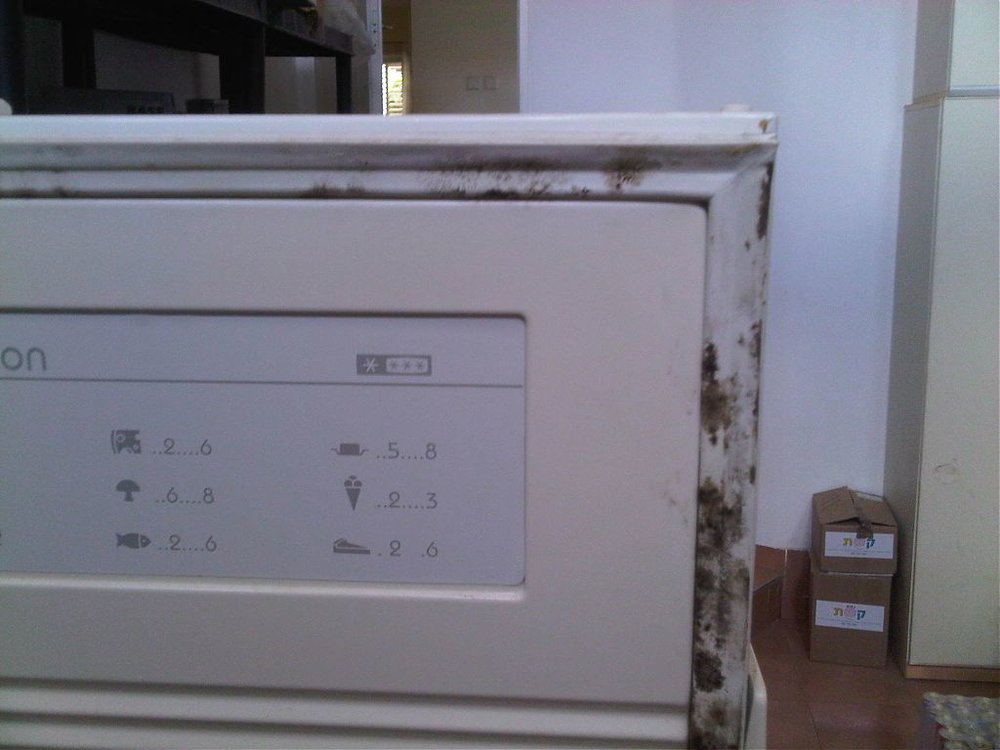 IMG-20130615-00011.jpg